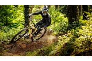 The Best MTB Tyres for Trails