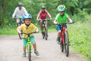 A Guide To Frog Bikes