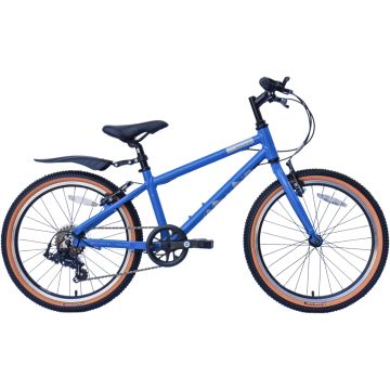 Raleigh Pop 20 Kids Bike
