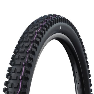 Schwalbe Albert Gravity Pro Radial TLR Tyre