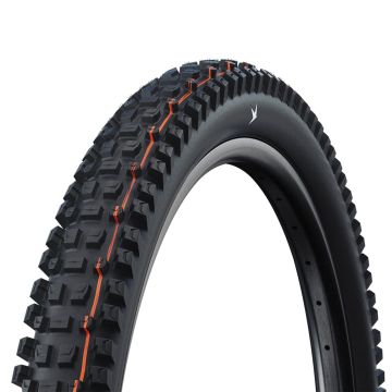Schwalbe Albert Trail Pro Radial TLR Tyre