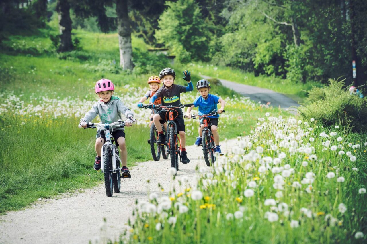 Family bike rides near me hotsell