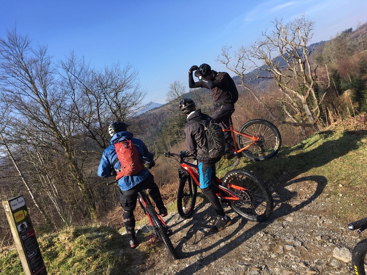 Take to the Trails: Top Tips for Autumn/Winter Riding