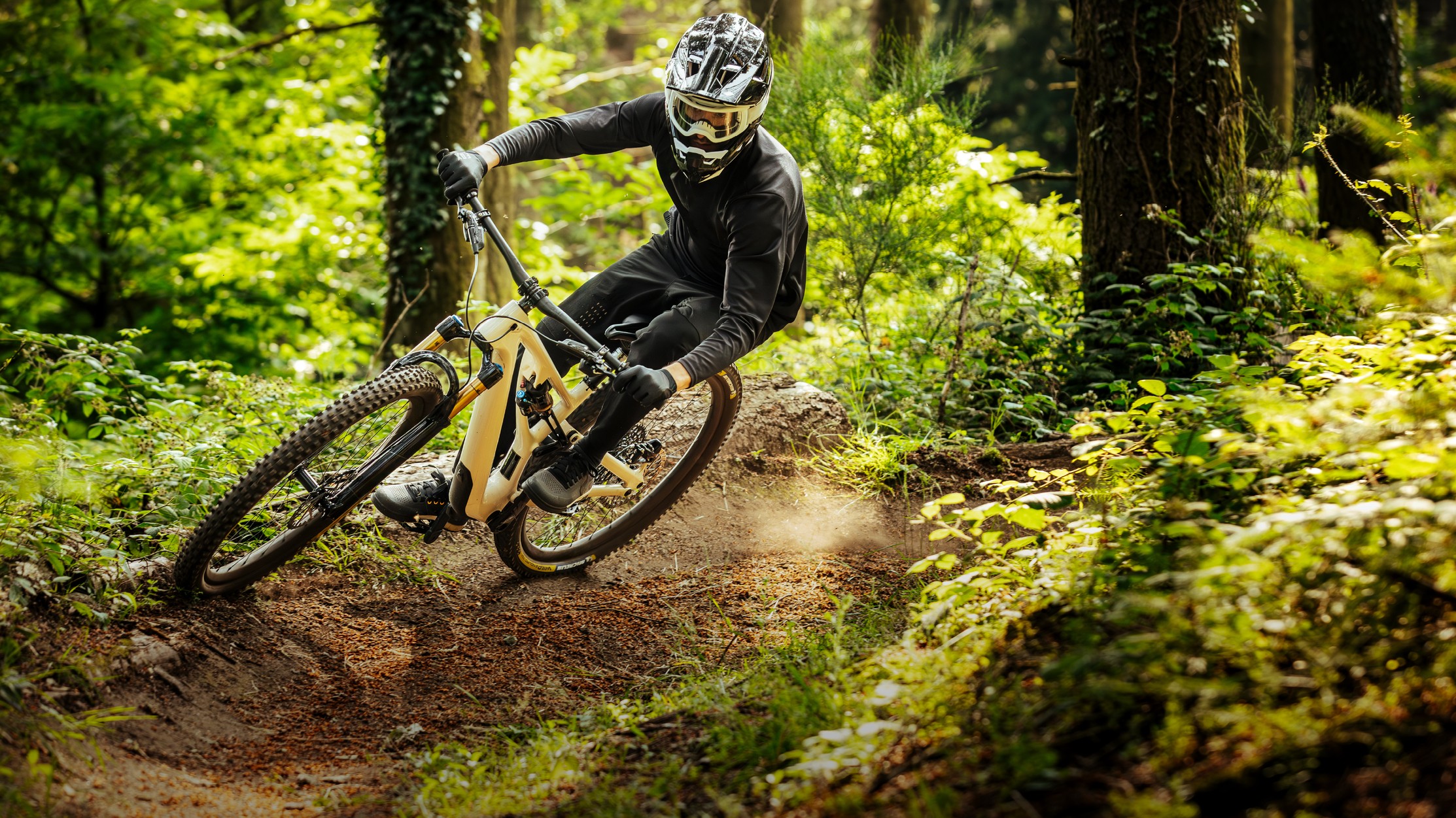 The Best MTB Tyres for Trails